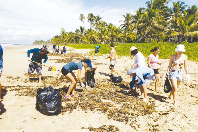 Mutirão de limpeza limpa praia em Busca Vida
