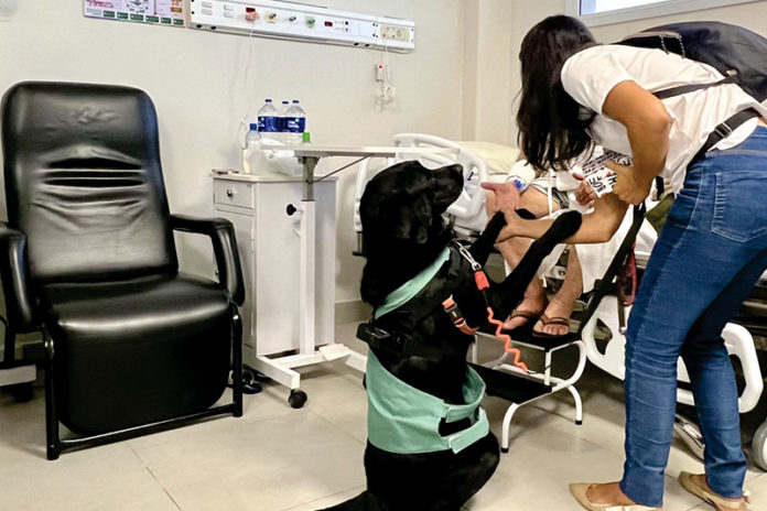 hospital promove terapia com cachorros em lauro de freitas