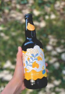 associacao de cerveja artesanal elege as melhores do nordeste e lauro de freitas esta na lista