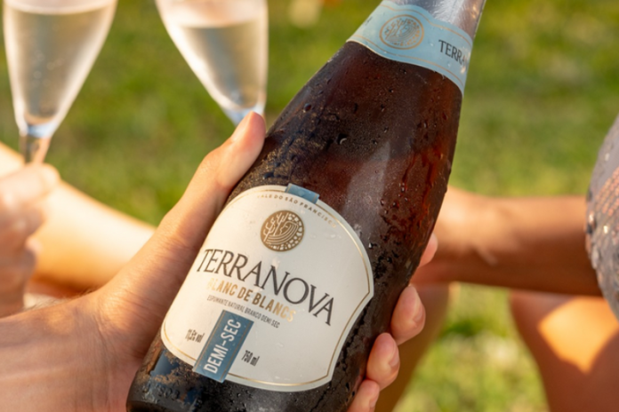 Os vinhos produzidos no Vale do São Francisco conquistam cada vez mais espaço dentro e fora do Brasil vinicola terra nova em casa nova bahia