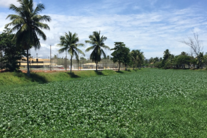 rio sapato em lauro de freitas