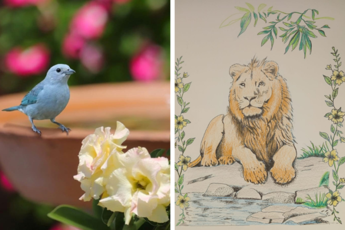 Foto de Radison Jordão e arte de Manuel Alegria Teixeira Mendes inauguram nova editoria da Vilas Magazine vilas magazine lanca nova editoria