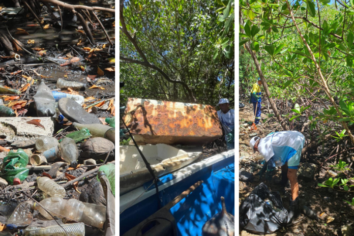 comunidade de lauro de freitas organiza mutirao para limpeza da foz do joanes