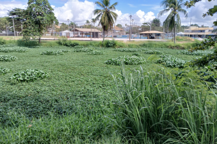 questionamento quanto ao maus tratos sofridos a decadas pelo rio sapato em lauro de freitas