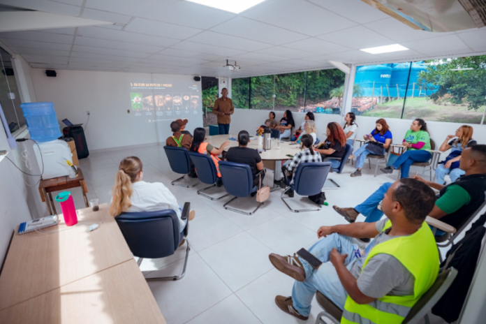 curso de meliponicultura em lauro de freitas