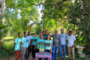 projeto de camacari se destaca em meliponicultura