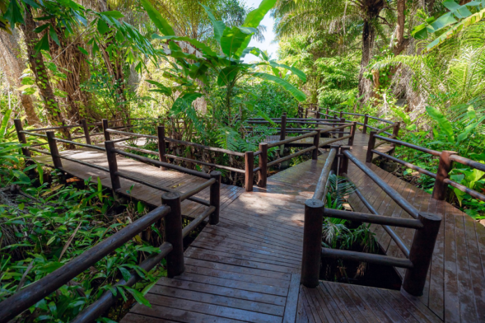 Parque Ecológico de Vilas do Atlântico passa por mapeamento para expansão de trilhas lauro de freitas preparar reforma para o parque ecologico
